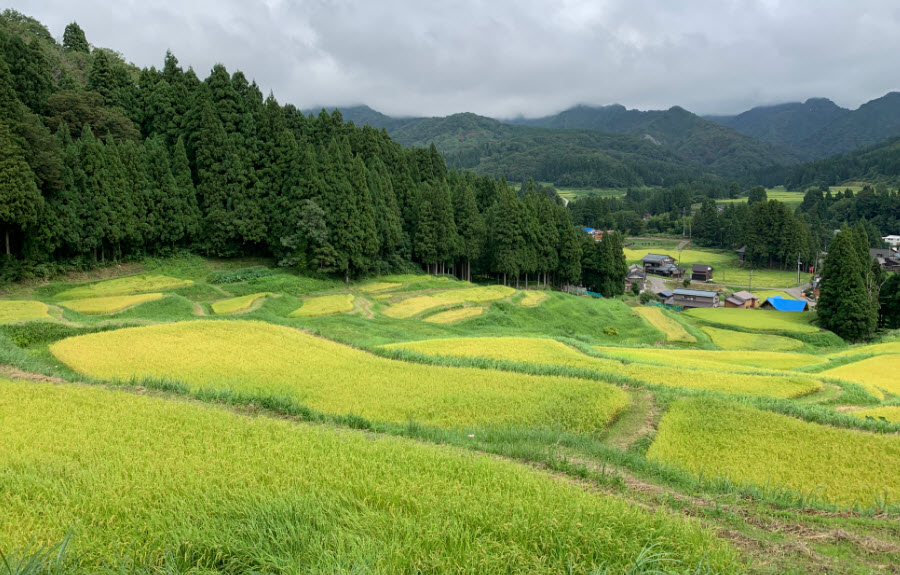 Ojiro, Kami, Hyōgo